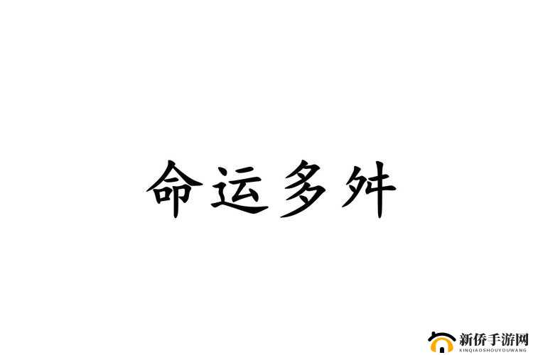 被反复爆炒的老实人：命运多舛的故事