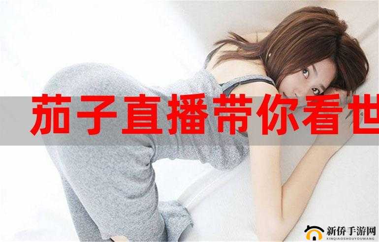 茄子直播：精彩内容等你来