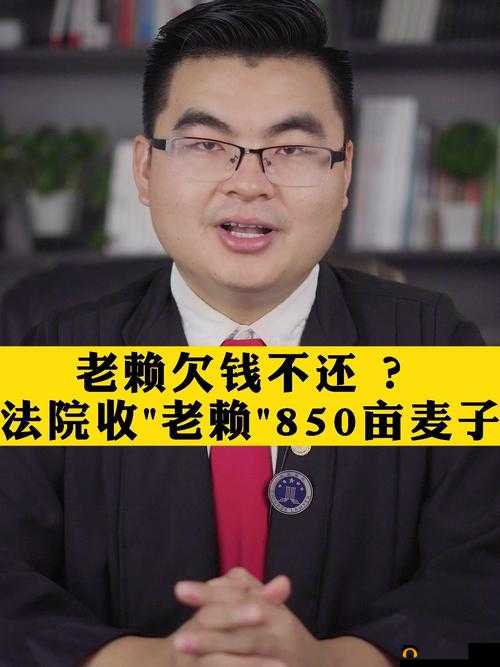 抵债的朋友麦子-债务出售相关事宜