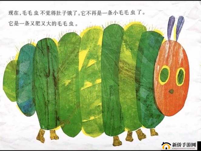 浓毛老太的传奇故事