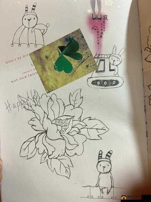 从三叶草的春天感想中学到的青春成长课