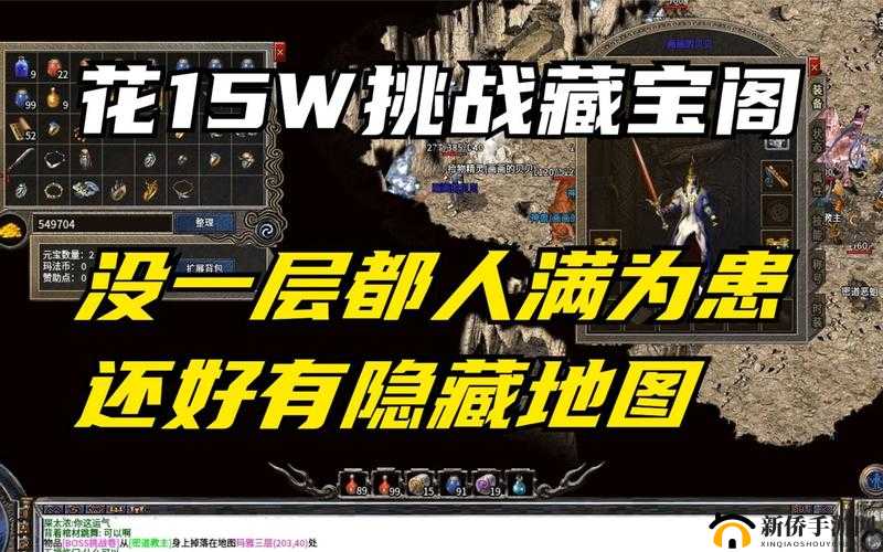 未满十八岁显示提供了入口进入：如何应对藏宝阁挑战