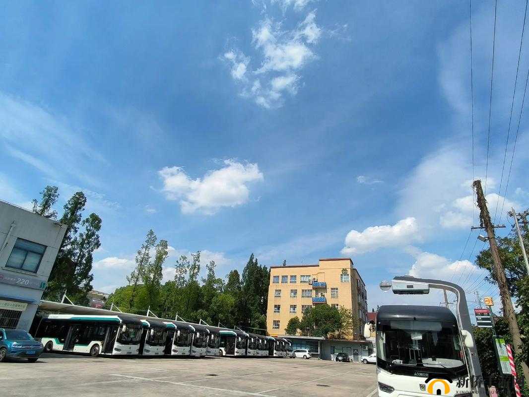 老周张琳公交车：一段特别的旅程