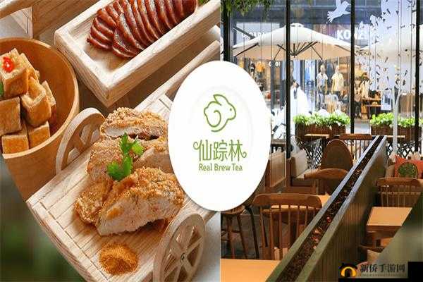 XZL 仙踪林 companyLimited：打造行业新标杆