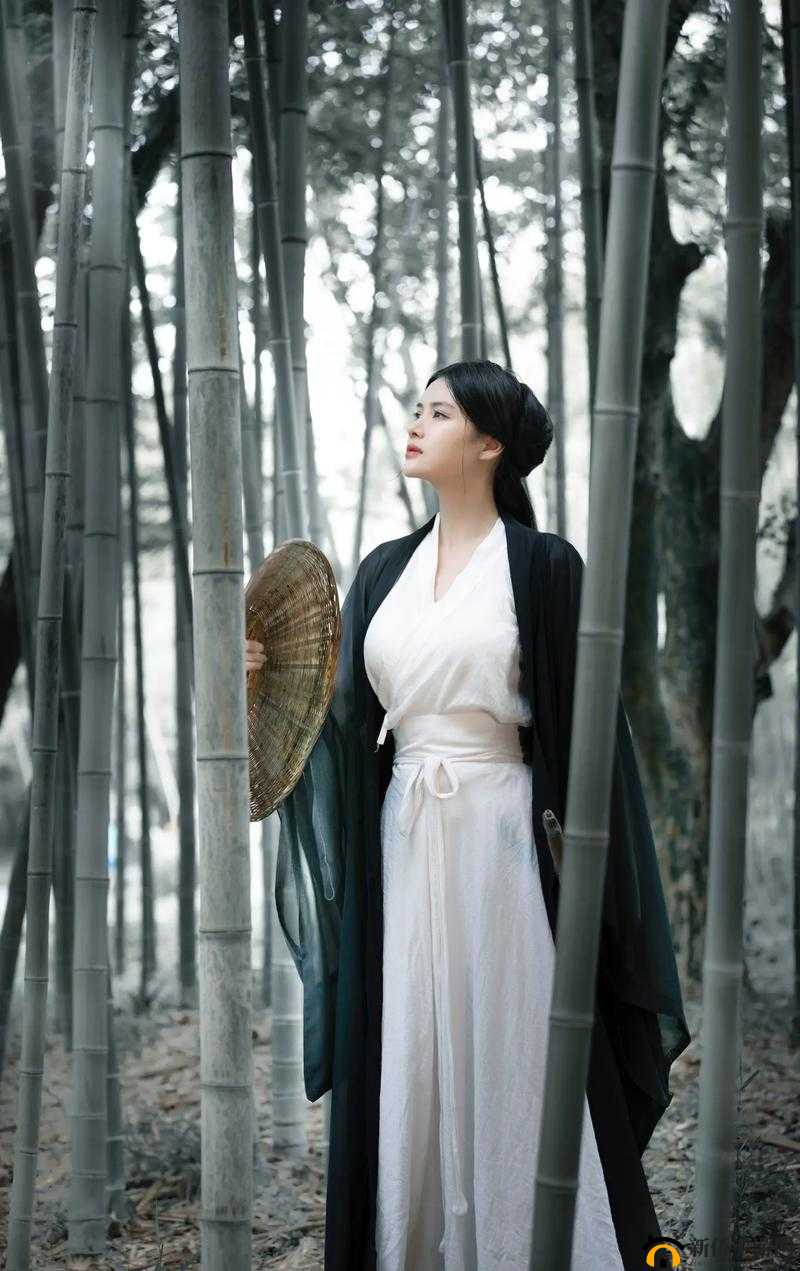 古典武侠熟女的江湖传奇故事