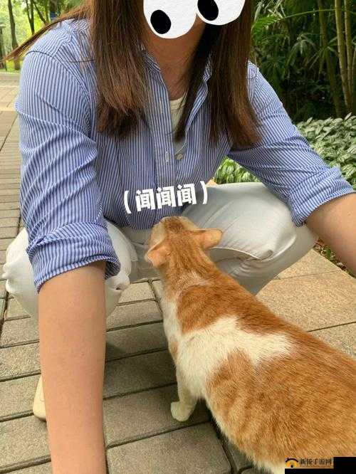 色咪咪第七色：神奇的存在