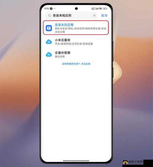 十大禁止安装应用入口在哪里：探寻其所在