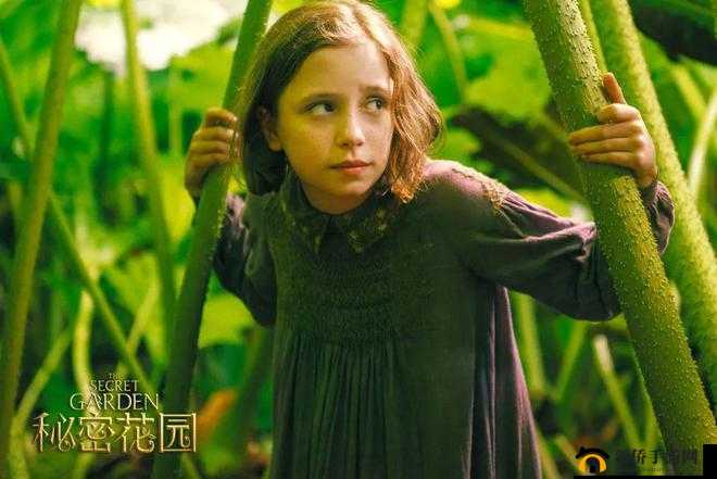 秘密花园探险攻略之必备技巧