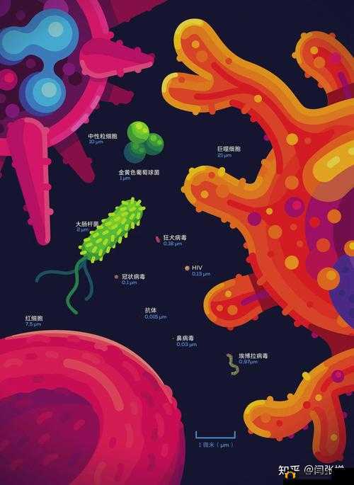 h 系统在日常生活中的奇妙应用：改变生活的力量