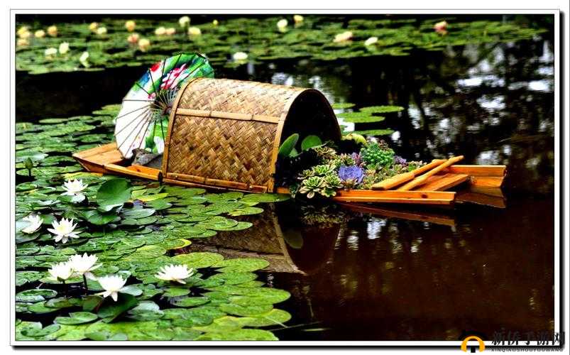 老人船上弄雨荷好吗：背后的故事