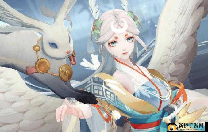 关于狐妖小红娘手游背包不足问题解析及背包扩展策略分享