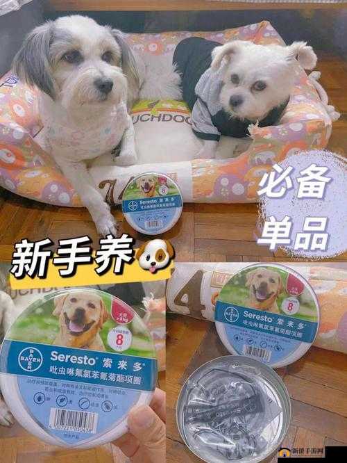 人狗胶配方大全狗狗使用：揭秘狗狗健康的秘密