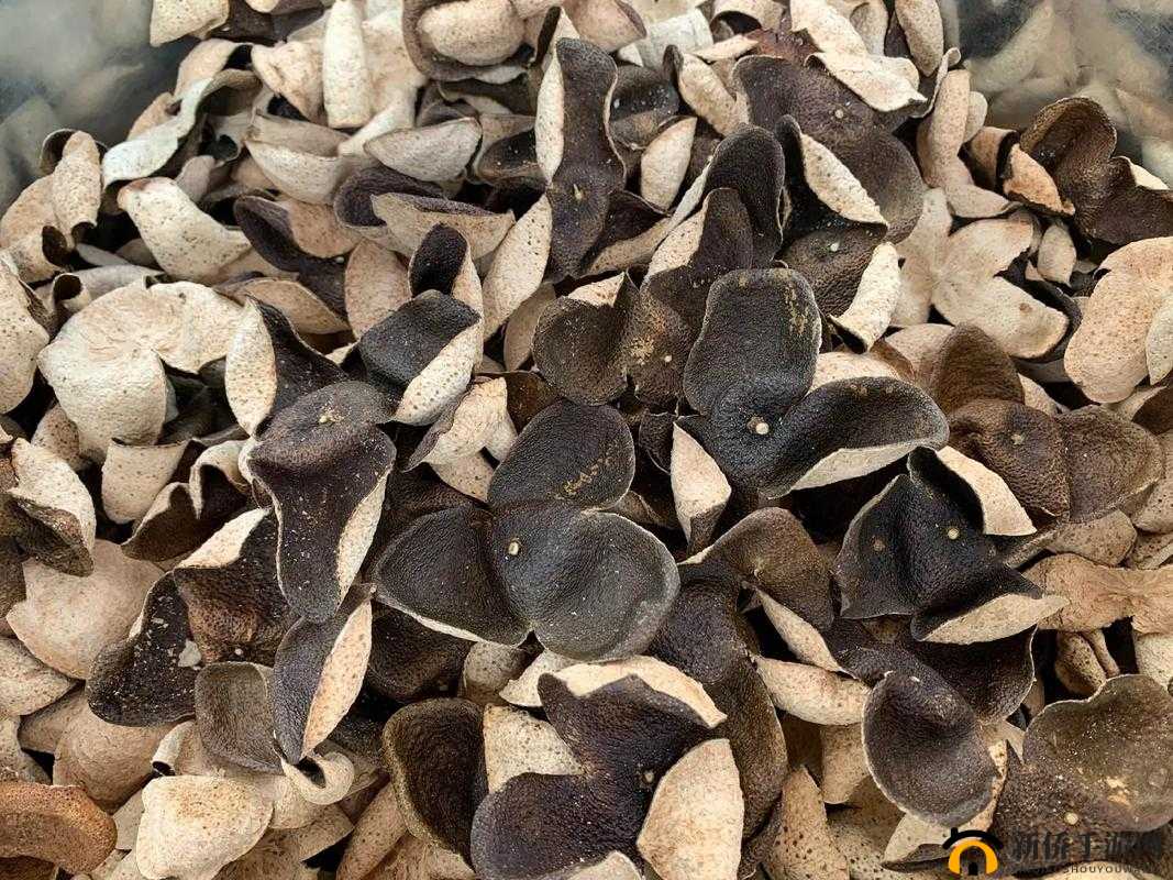 小青柑一线产区和二线产区的区别：特点与差异解析