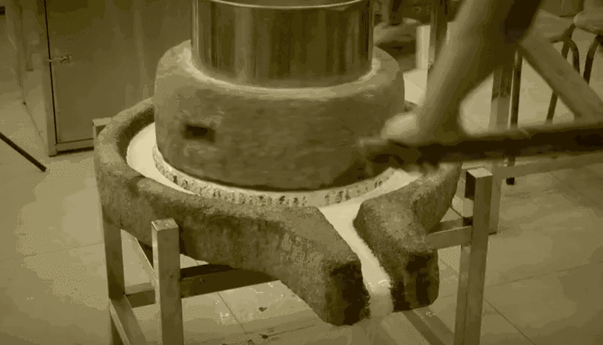 我的漂亮瘦子 5 最新消息：探寻其动态发展