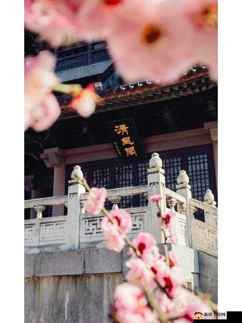 清风阁免费观看：快来体验