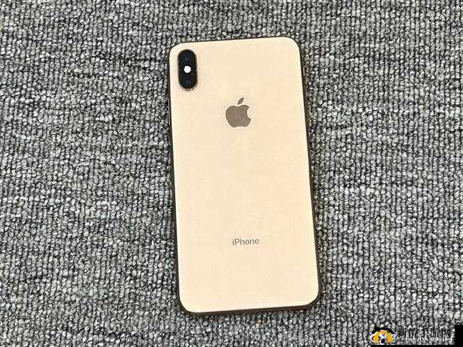 xsmax 国产：超越期待的品质之选