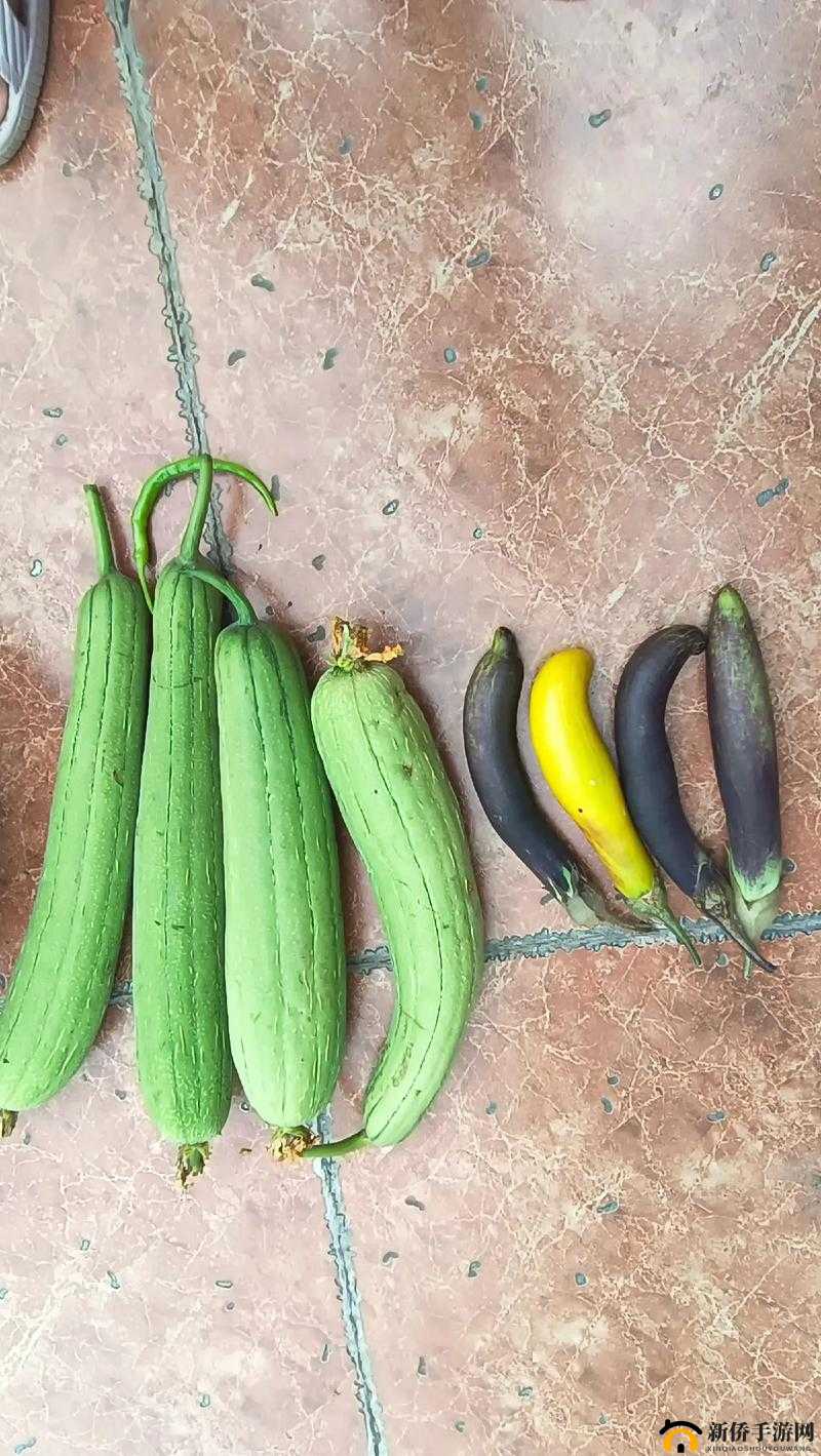 丝瓜榴莲黄瓜樱桃茄子各种风格任你挑选观看：满足你的视觉盛宴