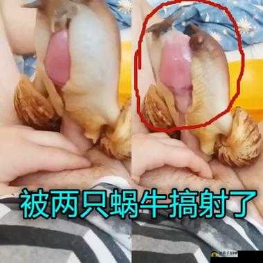 155.fnn 热点黑料：大揭秘