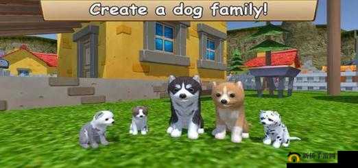 美国 Zoom 动物园直播动物：可爱的动物们等你来