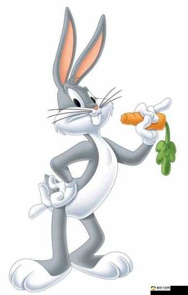 兔八哥cw3406：幽默风趣的卡通形象