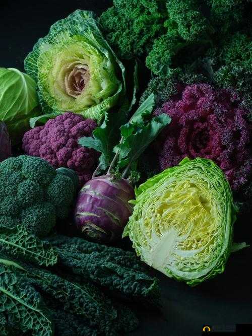 17c14.cv：DNA 分析揭示的秘密