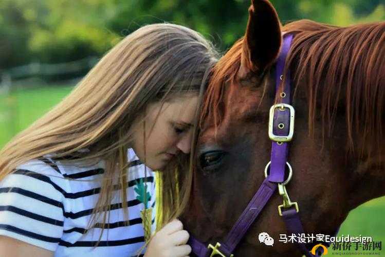 人马交流配对方式探秘