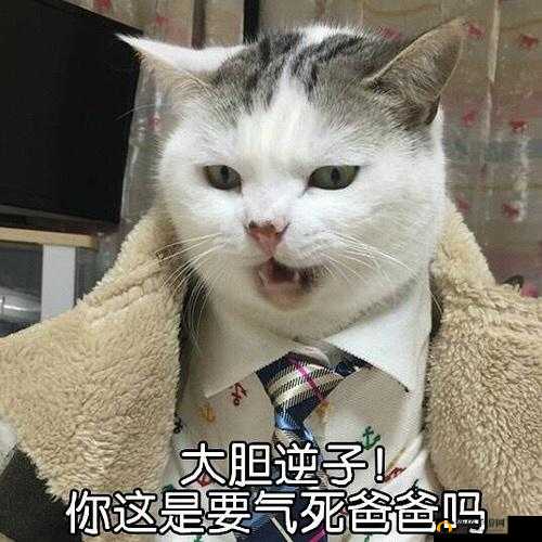 当你忍不住喊出哎呦：叫爸爸叫爹叫亲爹