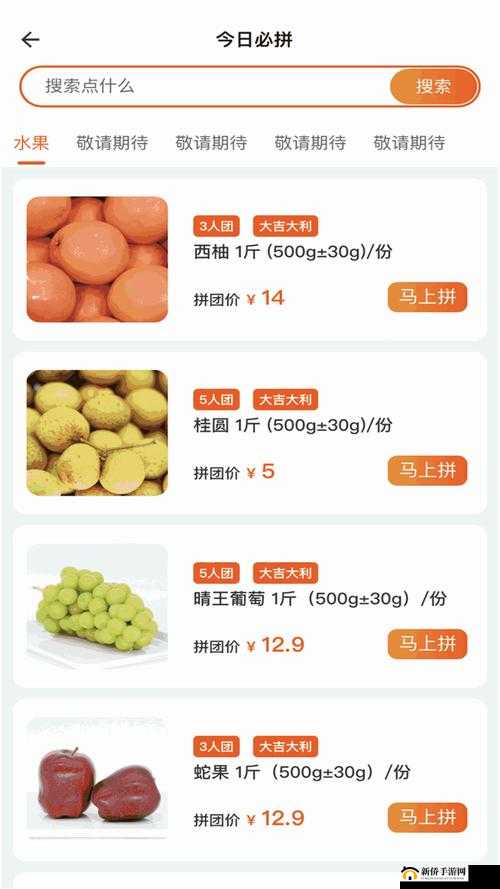 Ggy 钙 2024 太子相关内容探讨