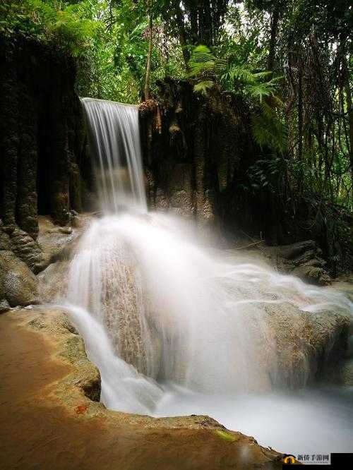 水帘白瀑如饥似渴一丛金黄：大自然的绝美画卷