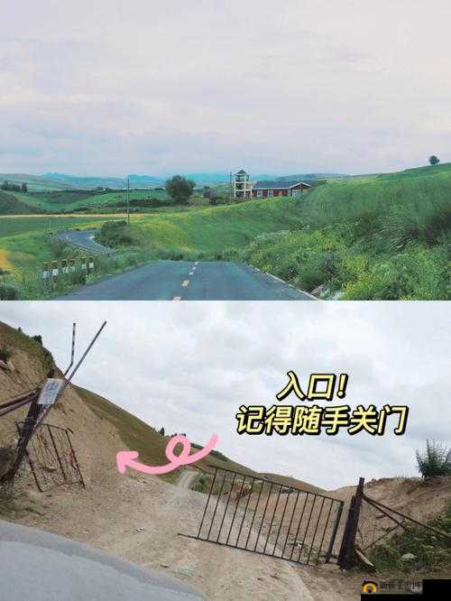 神秘路线入口：前方究竟通向何方