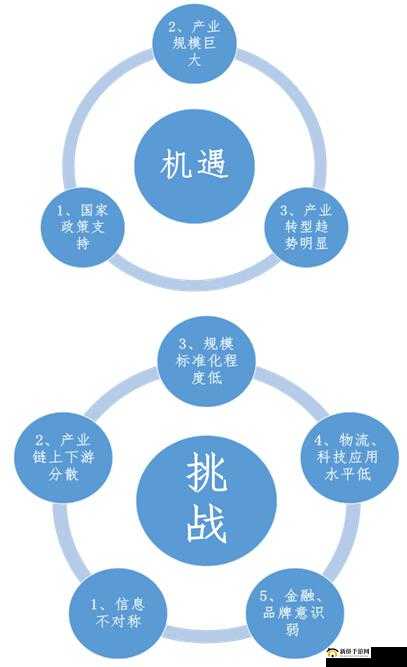 人与畜禽corporation 的发展：机遇与挑战