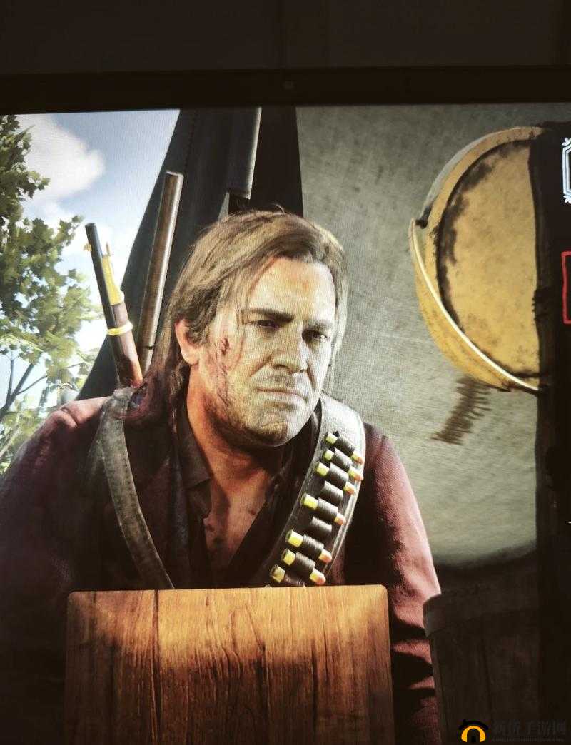 暴躁大妈荒野大镖客 K9 真人秀：荒野奇遇记