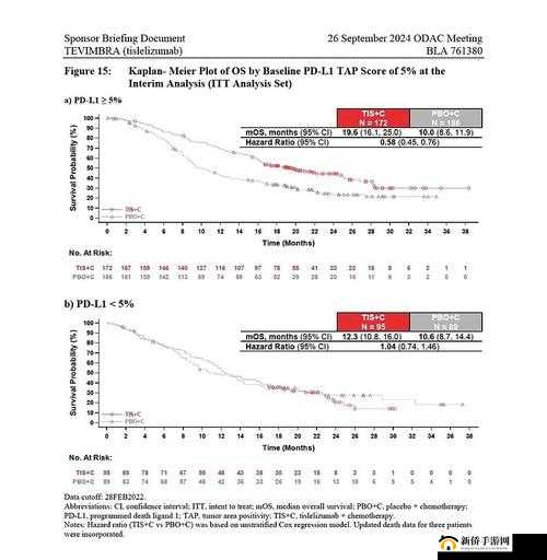 欧码亚码在一线 a：关于其的分析探讨