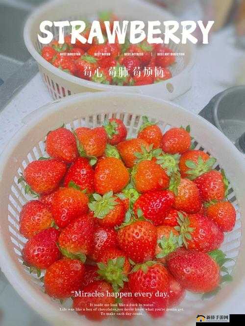 草莓洞洞榨汁法：独特的水果榨汁技巧