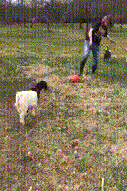 嗯啊动态图：有趣的表情瞬间