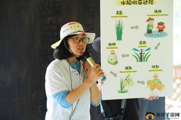 浪漫插秧与亲密插秧的区别探讨