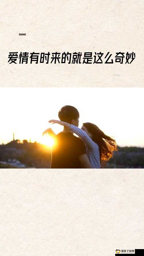 新人融合：爱情的奇妙旅程