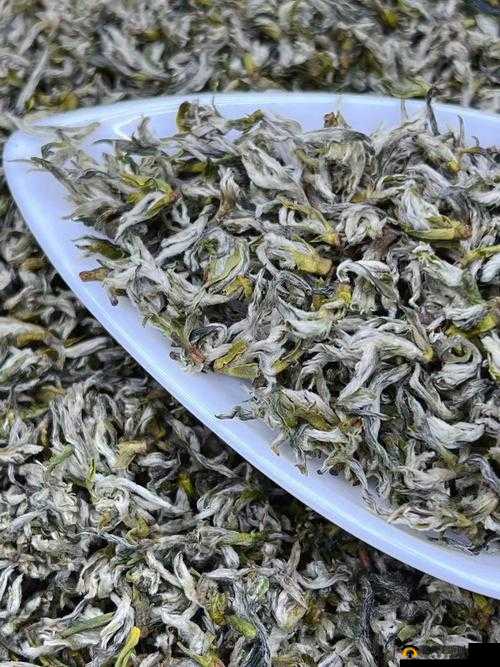 蜀山仙境寻宝记：蒙顶甘露茶的获取秘籍