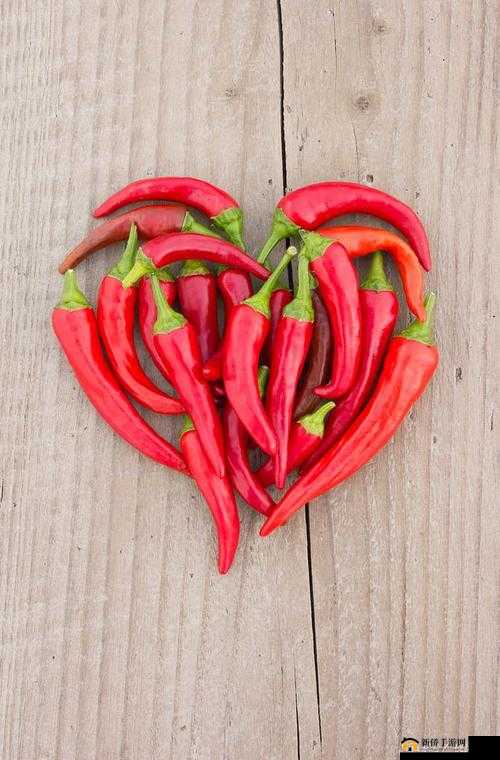 成品大香伊煮与小辣椒的烹饪用途及相关探讨