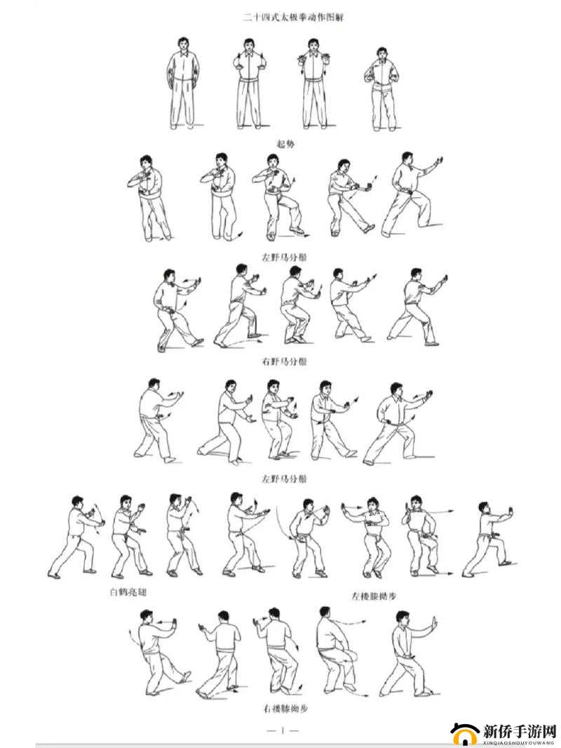 中华武学瑰宝——太极拳武学渊源的深度解读