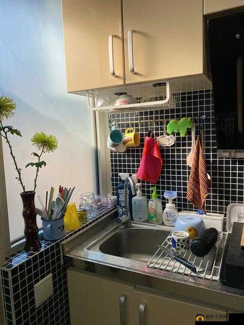 厨房一次又一次索要刷碗总这样：烦恼何时休