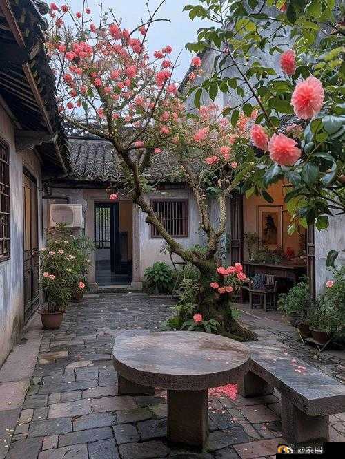 温馨的小院满院春光：美好生活的角落