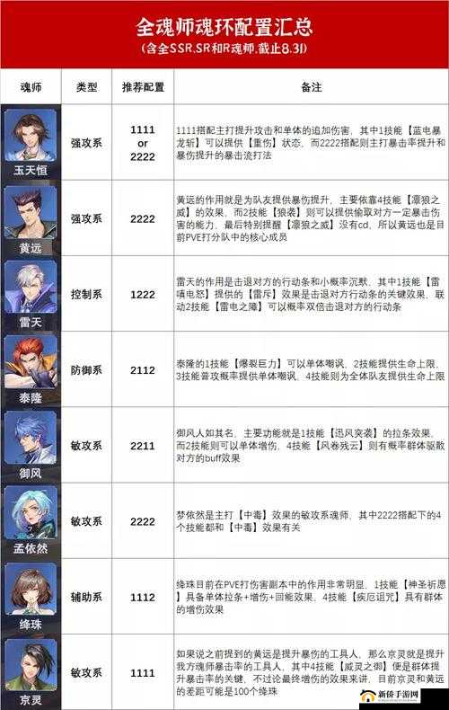 魂师对决破甲队戴沐白魂环搭配之深度解析