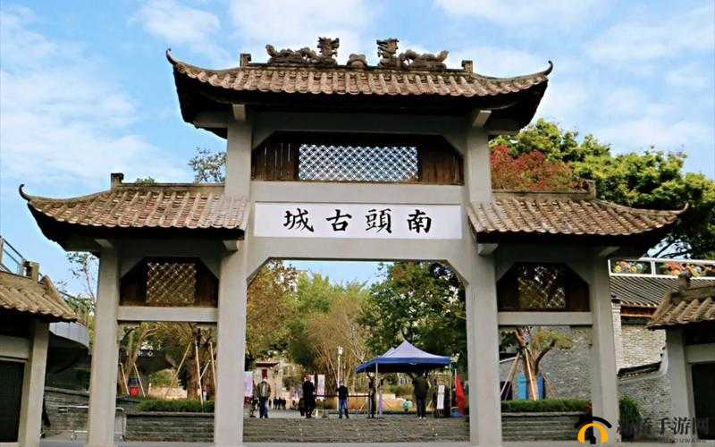 双阳插花芯：传统工艺的璀璨明珠