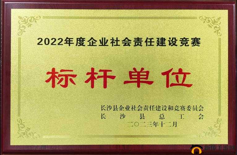 AAA 传媒有限公司：打造行业新标杆