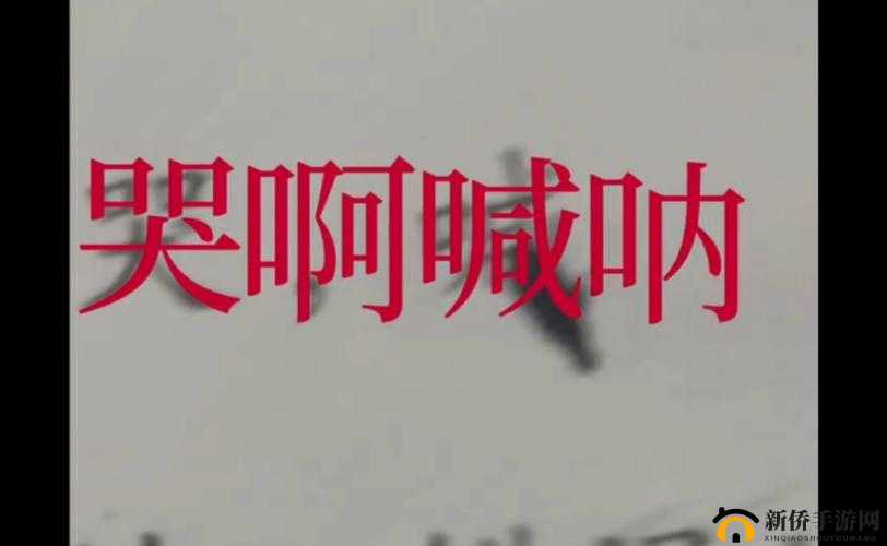 让你今晚哭着喊停：限制级刺激体验