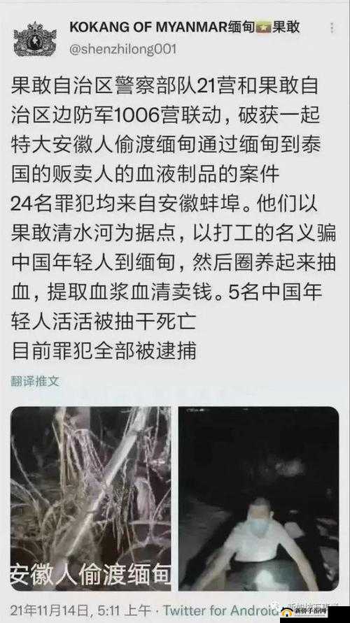 缅甸血腥恐怖网站 2024：揭秘恐怖真相