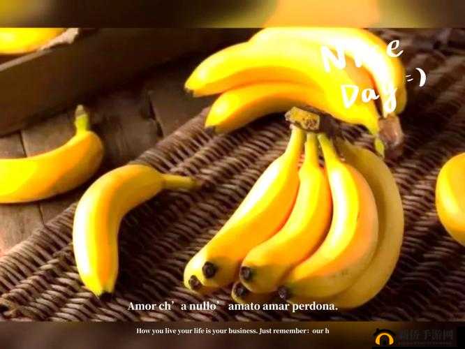 草莓香蕉榴莲黄瓜丝瓜茄子：多彩蔬果集合