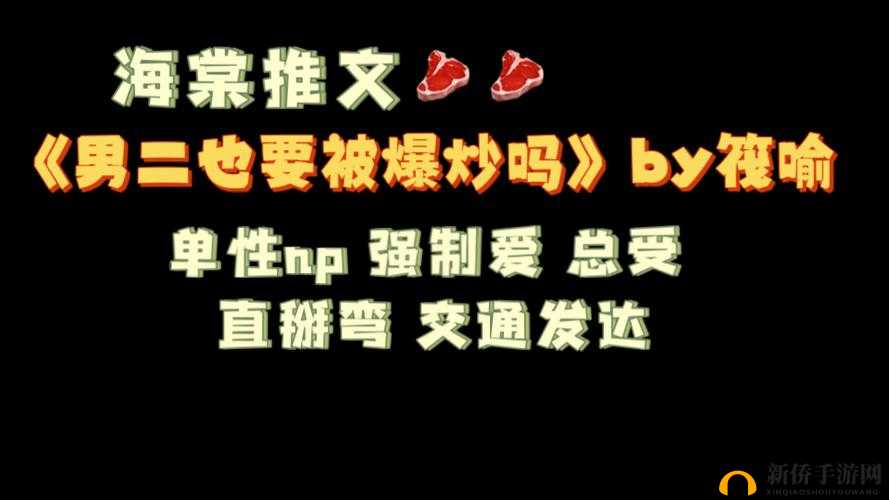 男二也要被爆炒吗 n 作者：他的故事同样精彩