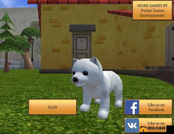 美国ZOOM 动物 ZOOM：有趣的动物世界